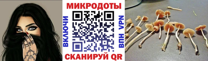 Псилоцибиновые грибы Psilocybe  сколько стоит  Красновишерск 